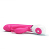 Pretty Love Vibro Rabbit Gene Voice Controle Rose